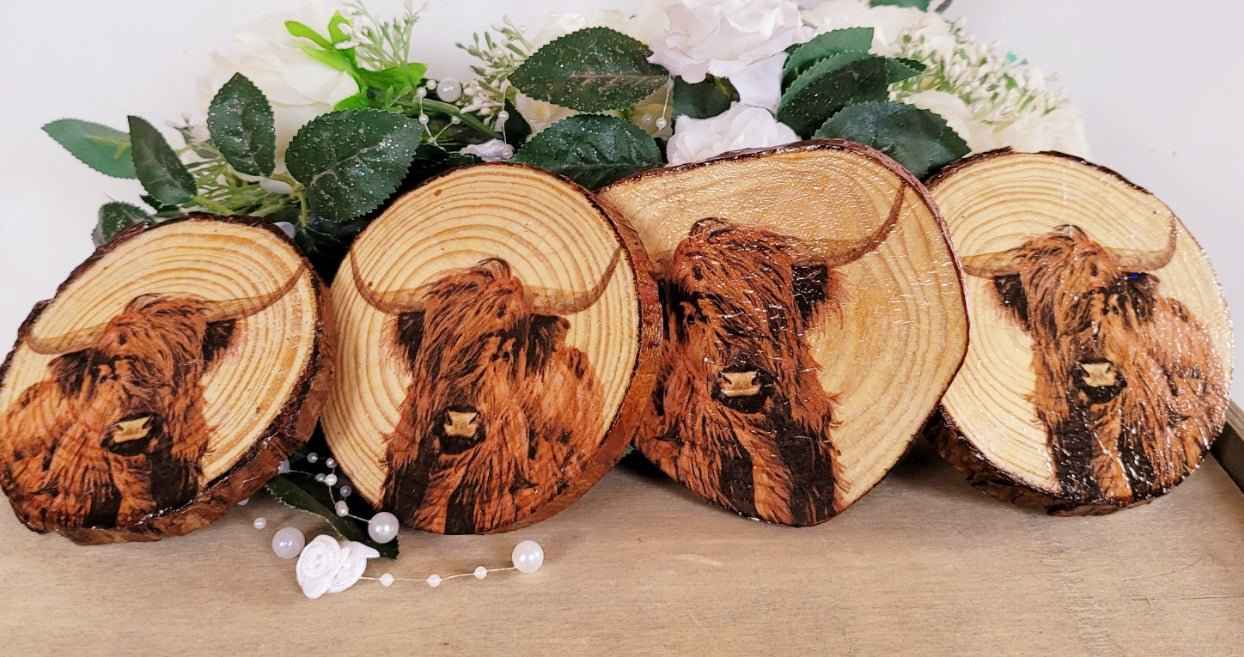Four round wooden slices with Highland cow images on, arranged on a tabletop with green leaves and white flowers behind them.