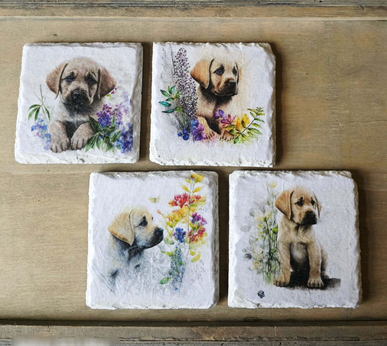 Four square white painted slate coasters with illustrations of golden labrador puppies and flowers on a wooden surface.