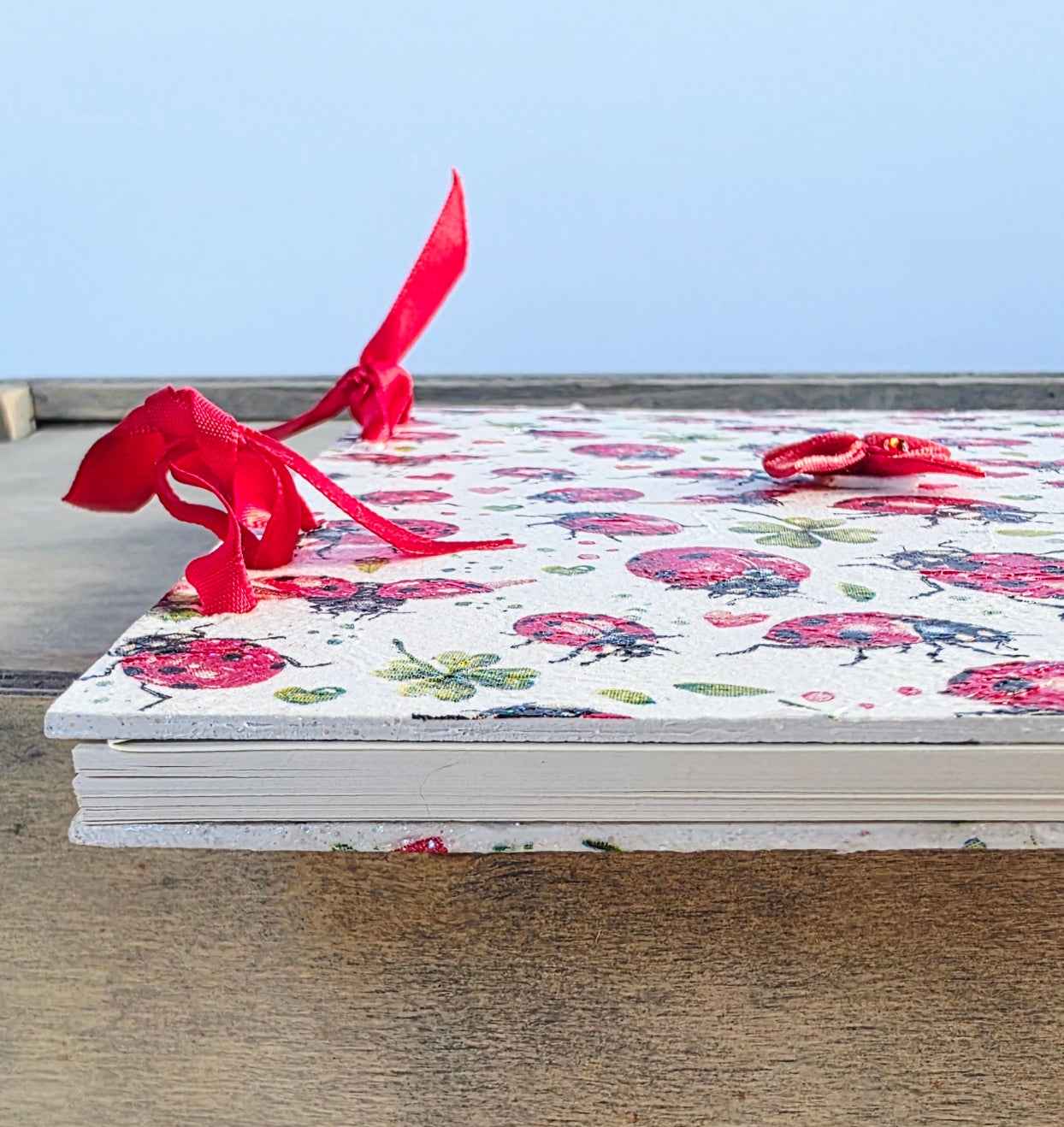 Reusable Ladybird Journal | A5 Refillable Wooden Notebook | Quantock Inspiration