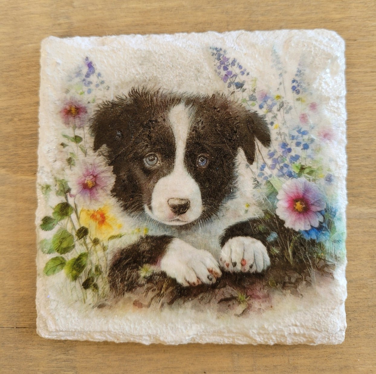 Decoupage Border Collie Coasters - Decoupage Border Corder collie coasters, white square coaster, with black and white border collie image with flowers 