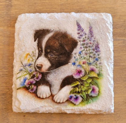 Decoupage Border Collie Coasters -Decoupage Border Collie Coasters - Decoupage Border Corder collie coasters, white square coaster, with black and white border collie image with flowers  