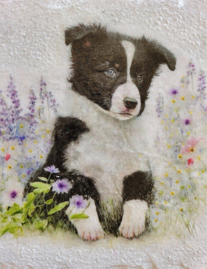 Decoupage Border Collie Coasters - Quantock Inspiration