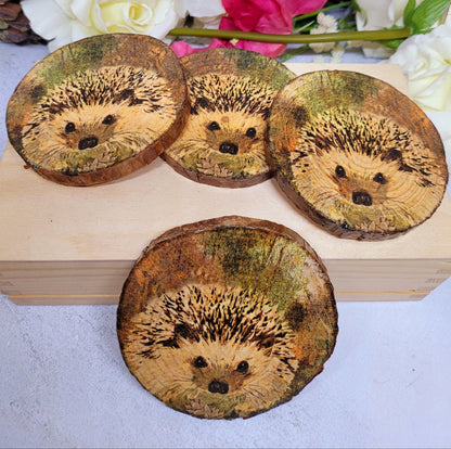 Four Decoupage Natural Wood Slice Hedgehog coasters. Varnished glossy look, hedgehog detail and bark left on the outer edge