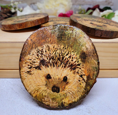 Four Decoupage Natural Wood Slice Hedgehog coasters. Varnished glossy look, hedgehog detail and bark left on the outer edge