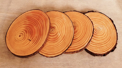 Decoupage Natural Wood Slice Squirrel Coasters - Quantock Inspiration