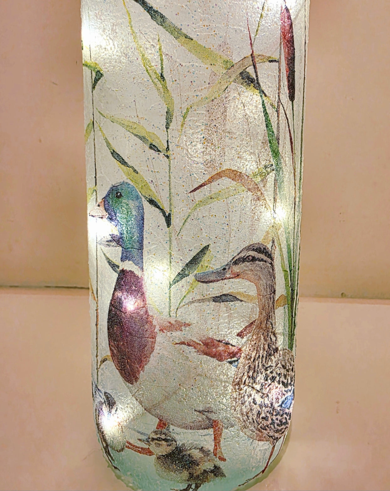 Wine bottle with ducks and ducklings on. Lit up 