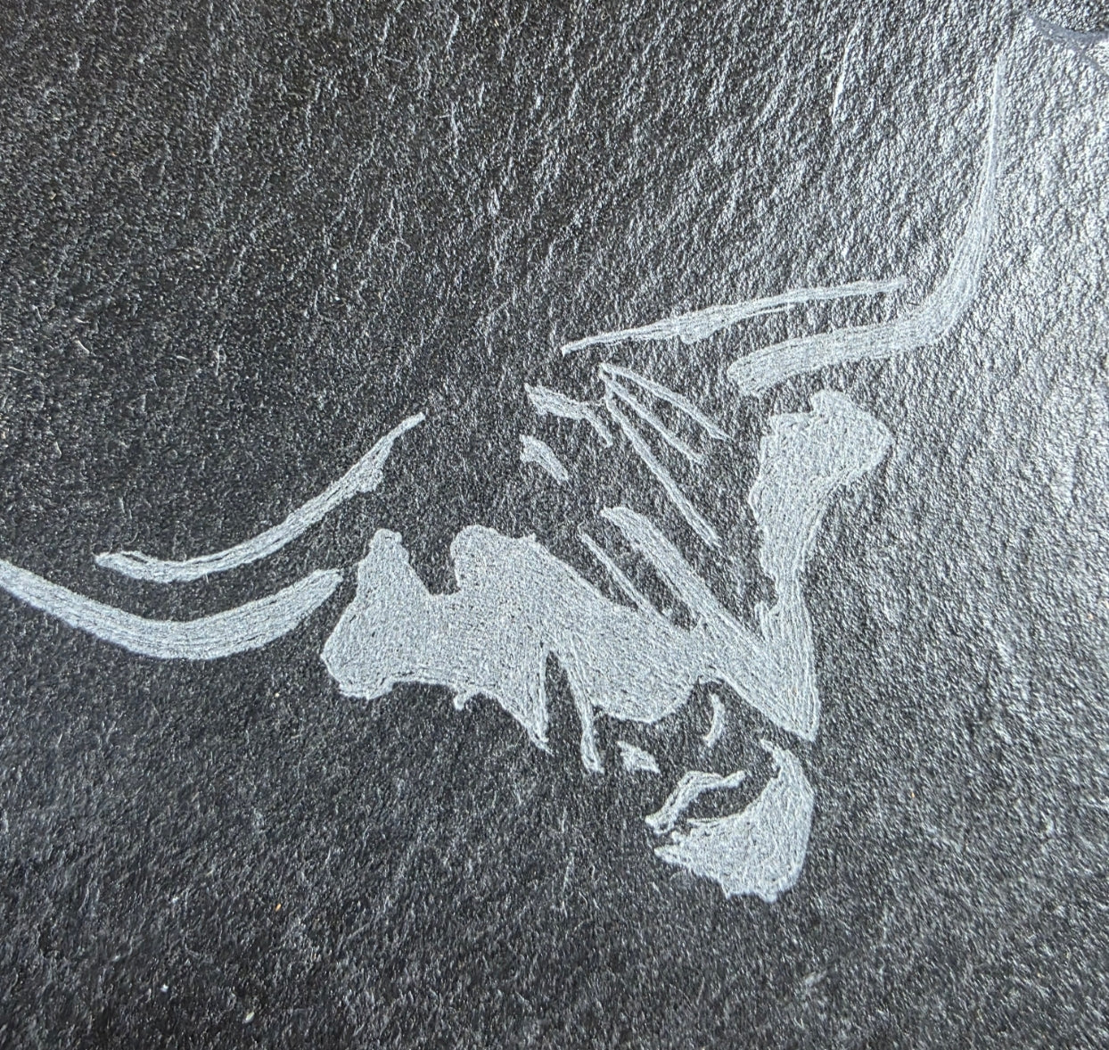 Engraved cows head design on a dark stone surface