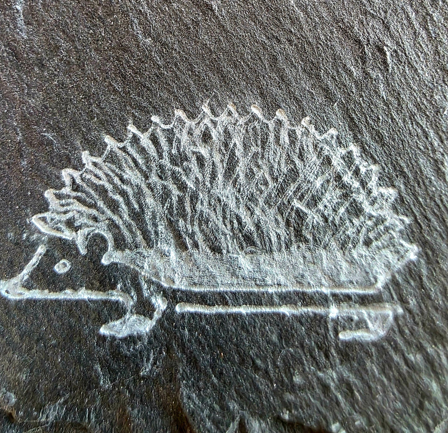 A close-up of a white etched or painted hedgehog motif on a dark textured stone surface.