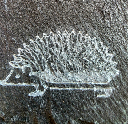 A close-up of a white etched or painted hedgehog motif on a dark textured stone surface.