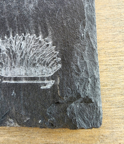 A close-up of a dark grey slate coaster with a white printed illustration of a cocktail glass and umbrella, resting on a light wood surface.