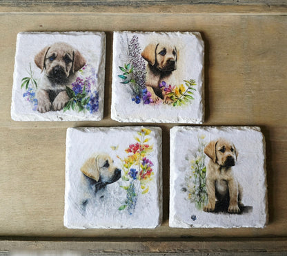 Four square white painted slate coasters with illustrations of golden labrador puppies and flowers on a wooden surface.