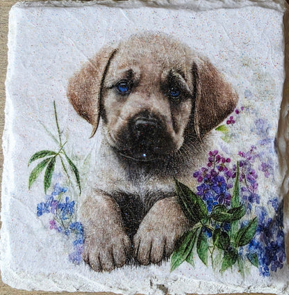 Artistic depiction of a golden labrador puppy surrounded by flowers on a white painted slate coaster