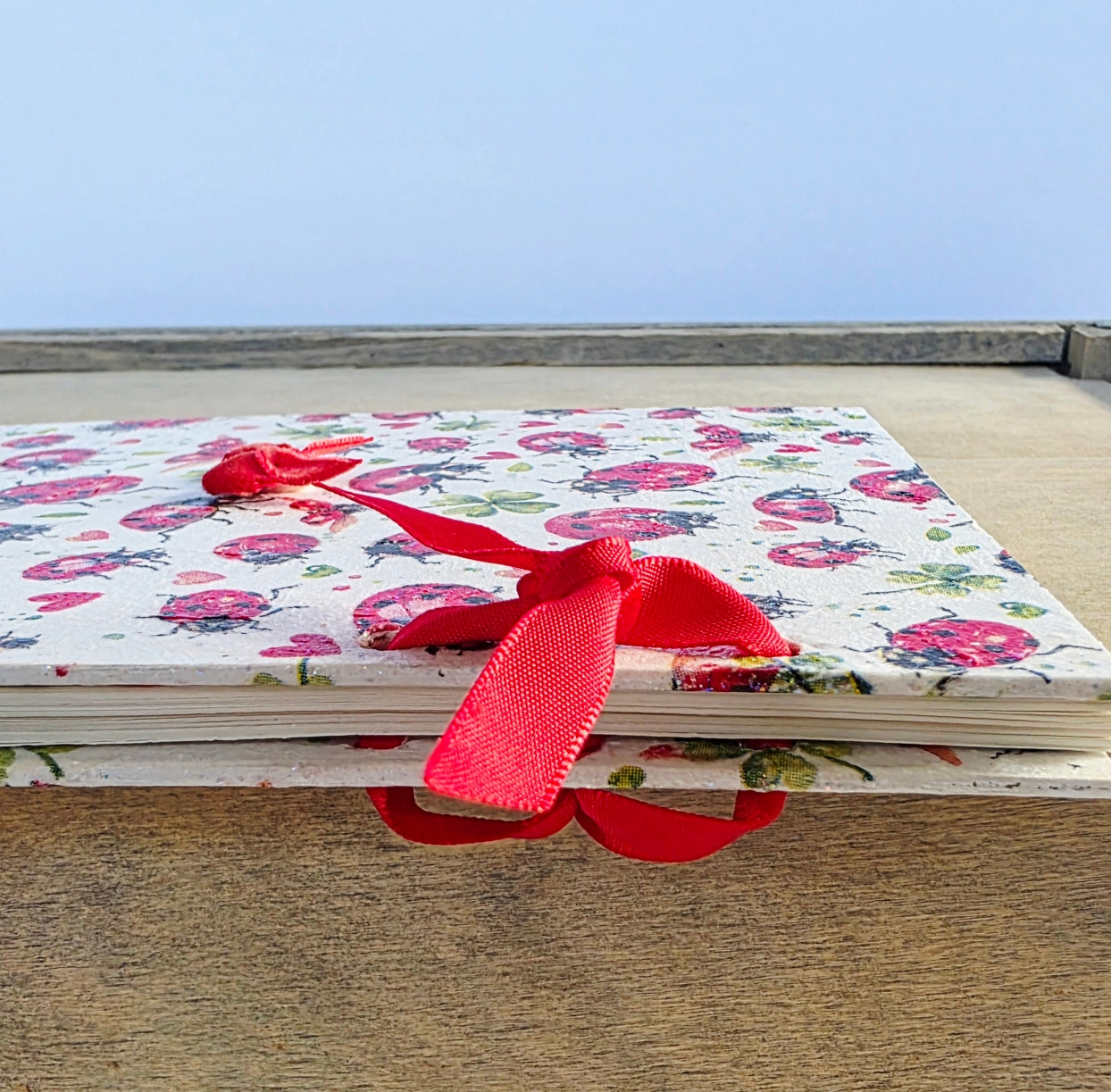 ladybird notebook with a red ribbon on a wooden surface