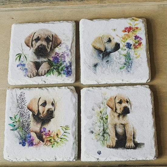 video of Four square slate tiles with illustrations of puppies and flowers on a wooden surface.
