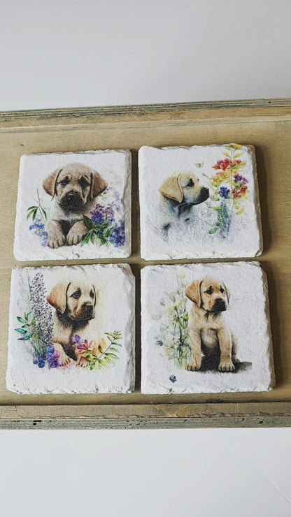 video of Four square slate tiles with illustrations of puppies and flowers on a wooden surface.