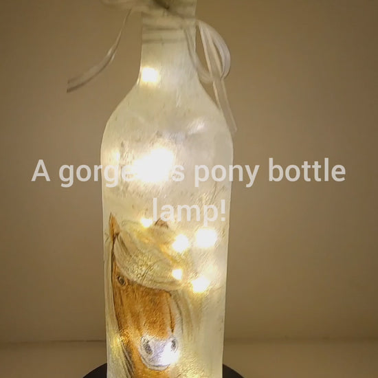 RLit up wine bottle with pony detail and white bowotating 