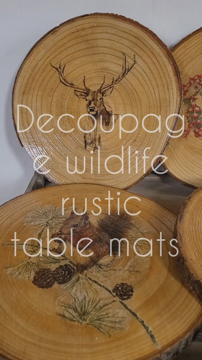 Set of ten Decoupage Wildlife Table Mats
