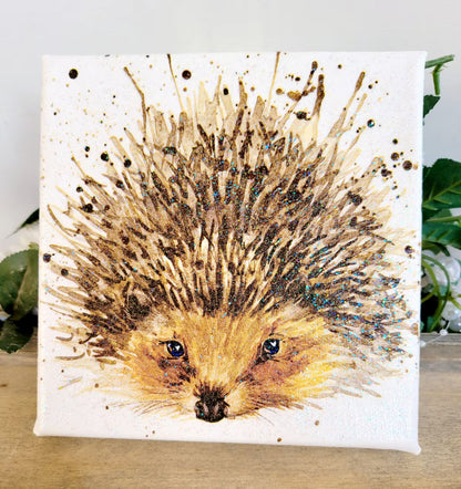 Canvas print of a hedgehog with a textured background