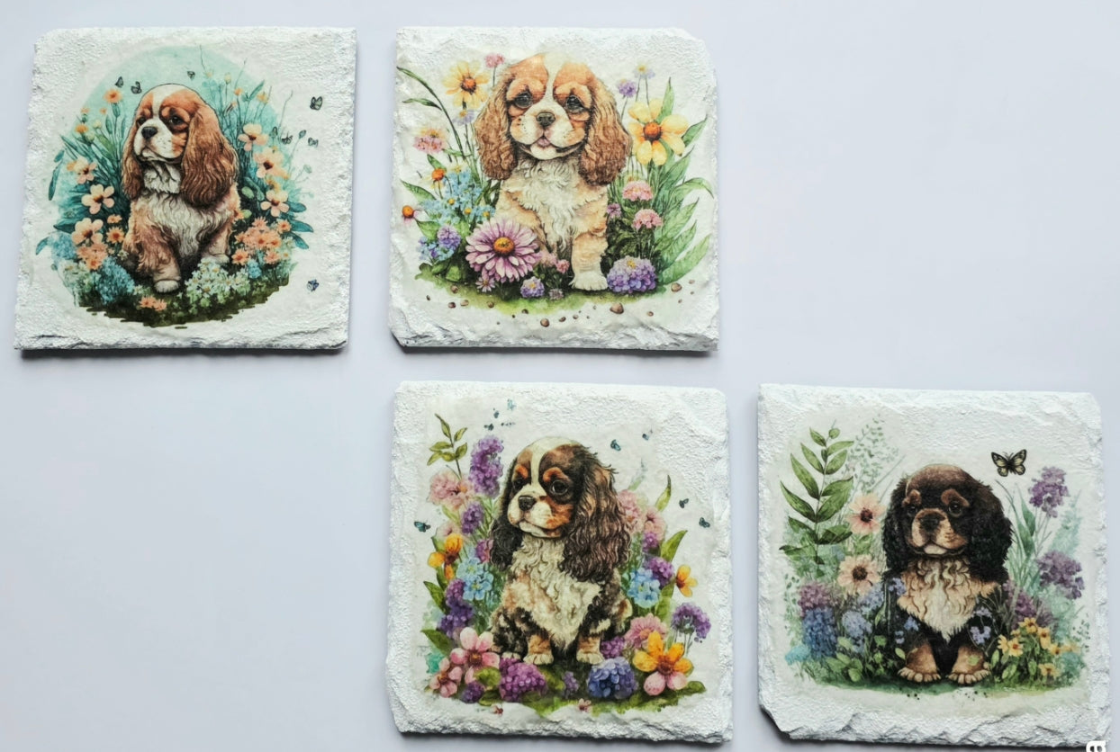 Four White slate coasters with four different paintings of a king charles spaniel puppy surrounded by flowers on a white background