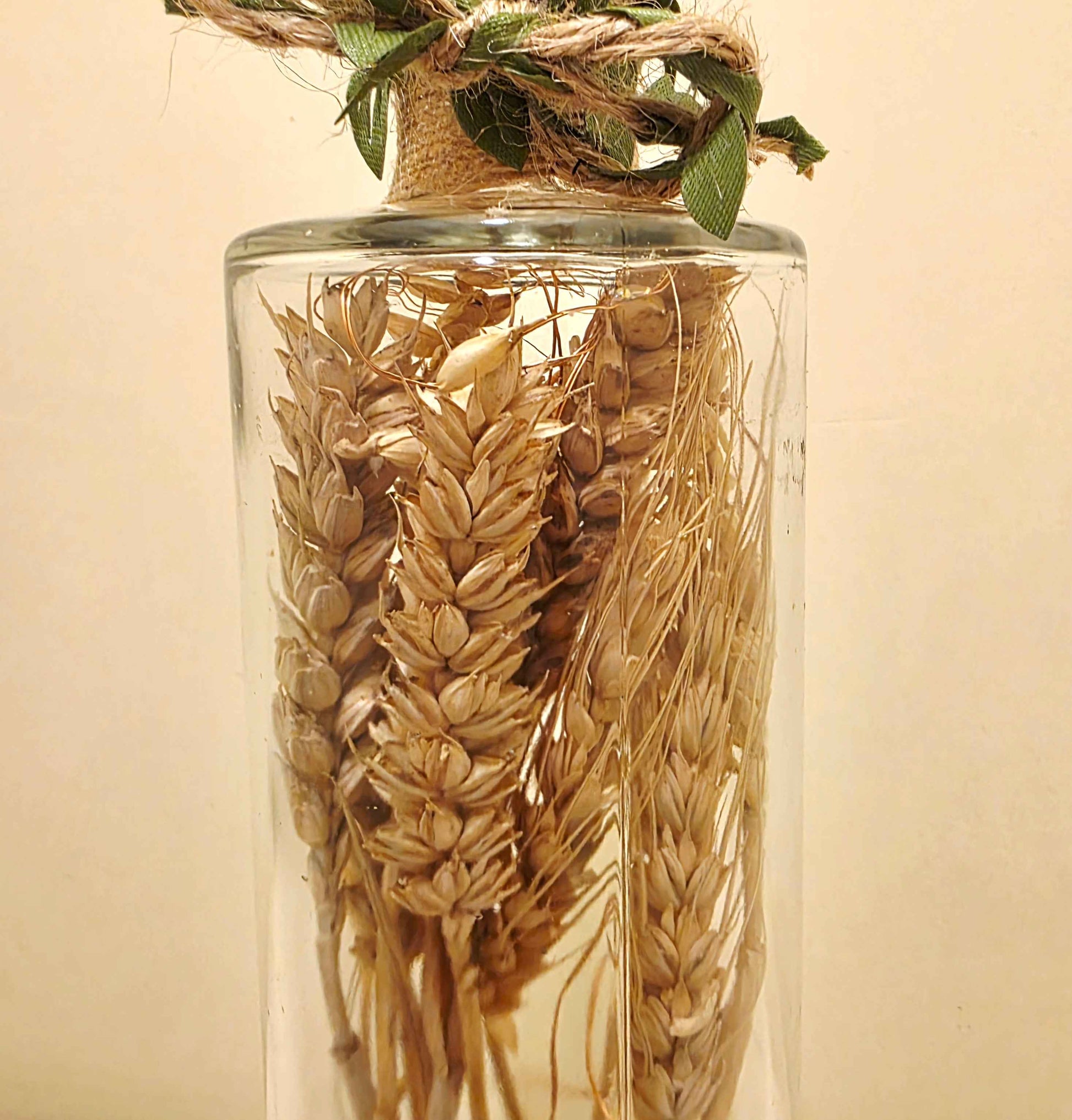 A clear glass bottle filled with dried wheat stalks, tied at the neck with twine and green leaves, against a plain beige background.