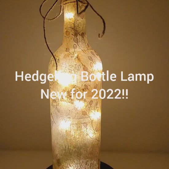 Rotating Lit up wine bottle with Hedgehog detailing. Jute string bow